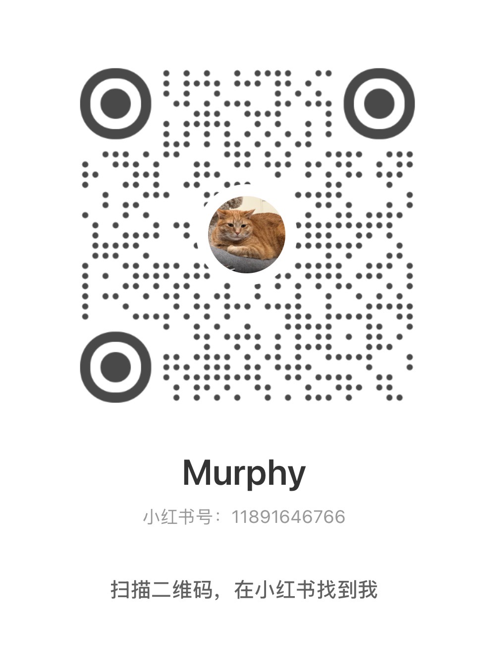 Xiaohongshu profile card with QR code and account details